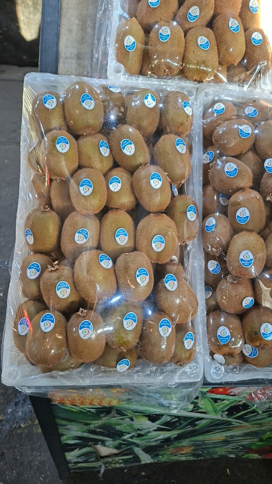 Kivi Gold 1