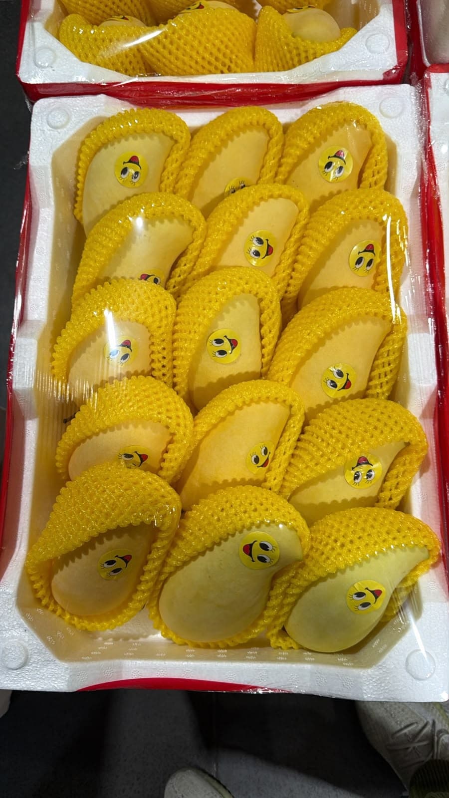 Mango Ice Cream 1