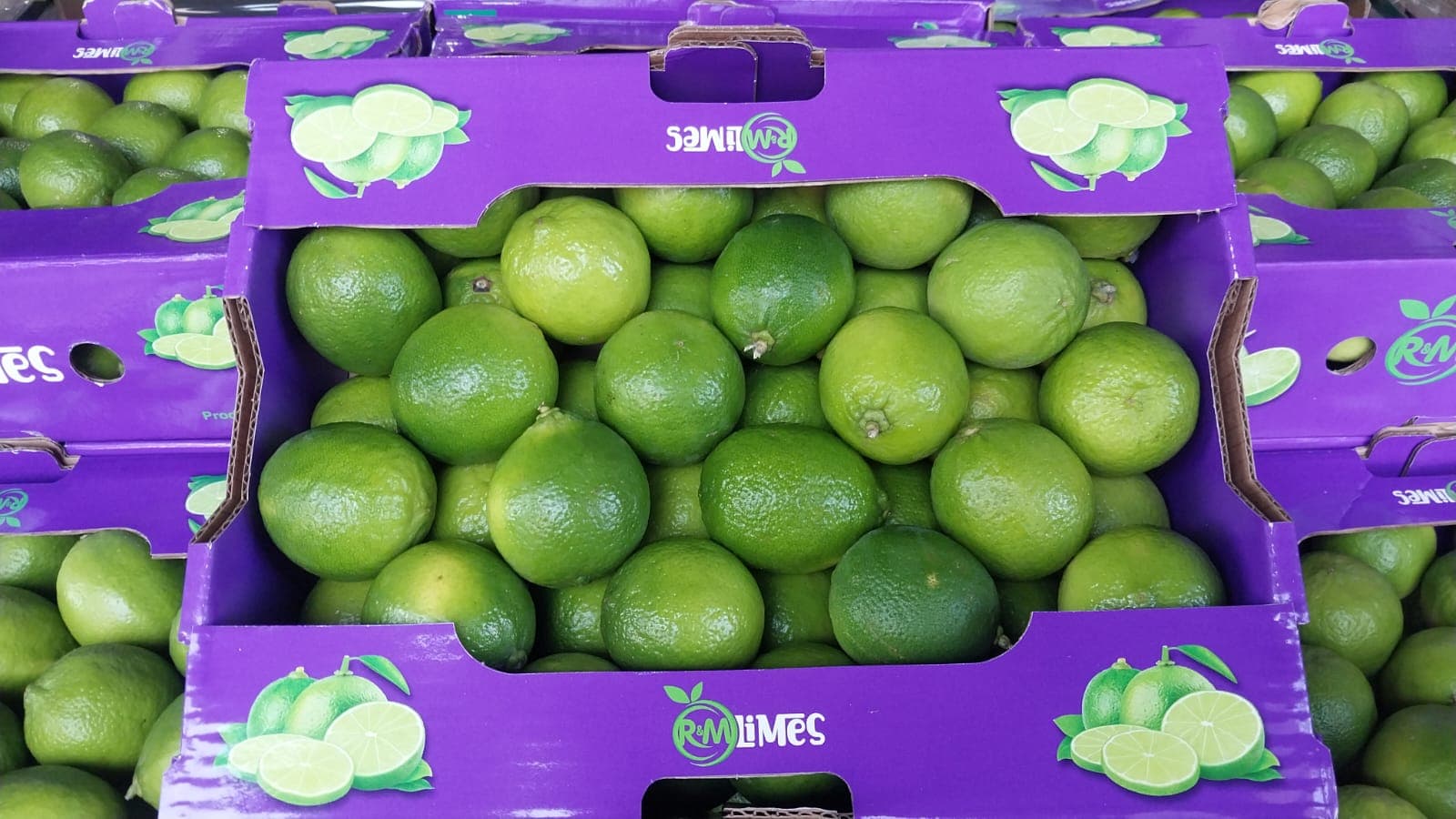 Limon yaşıl 1