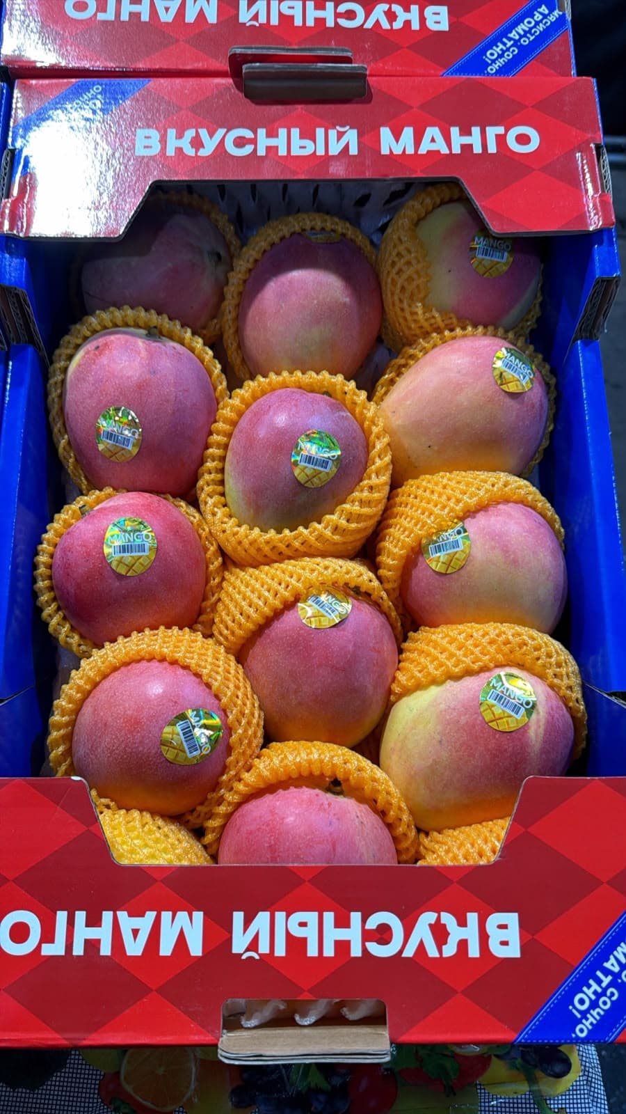 Mango Kent 1
