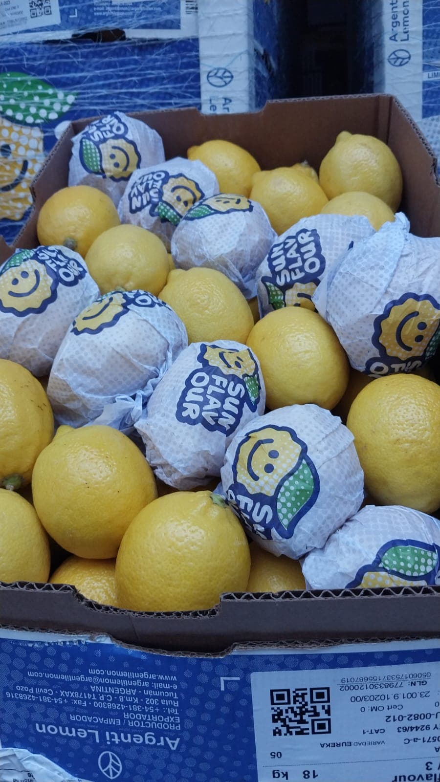 Limon sarı 1