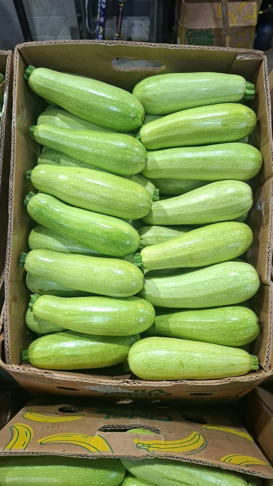 Qabaq Kabaçok 1