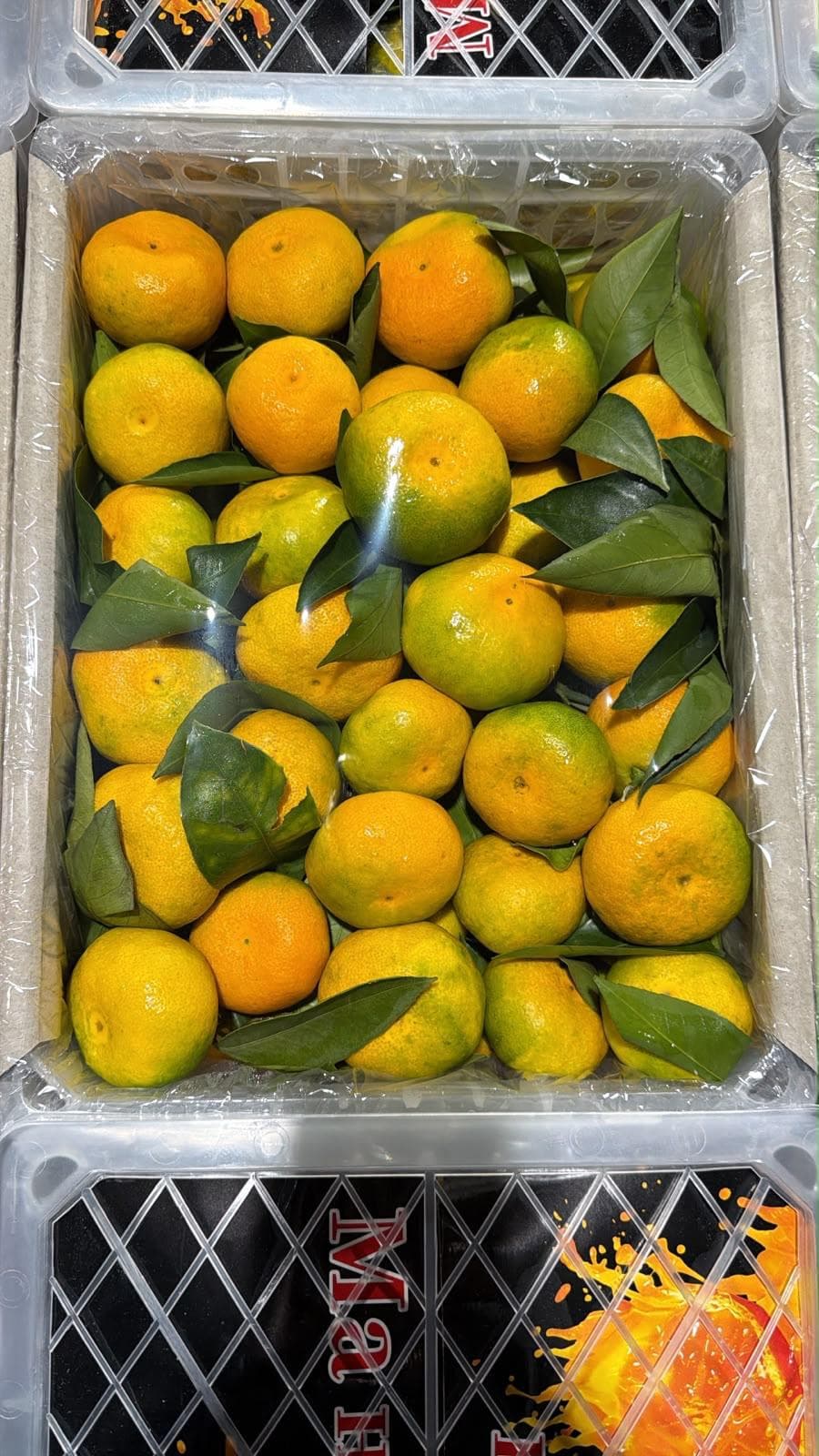Mandarin 1