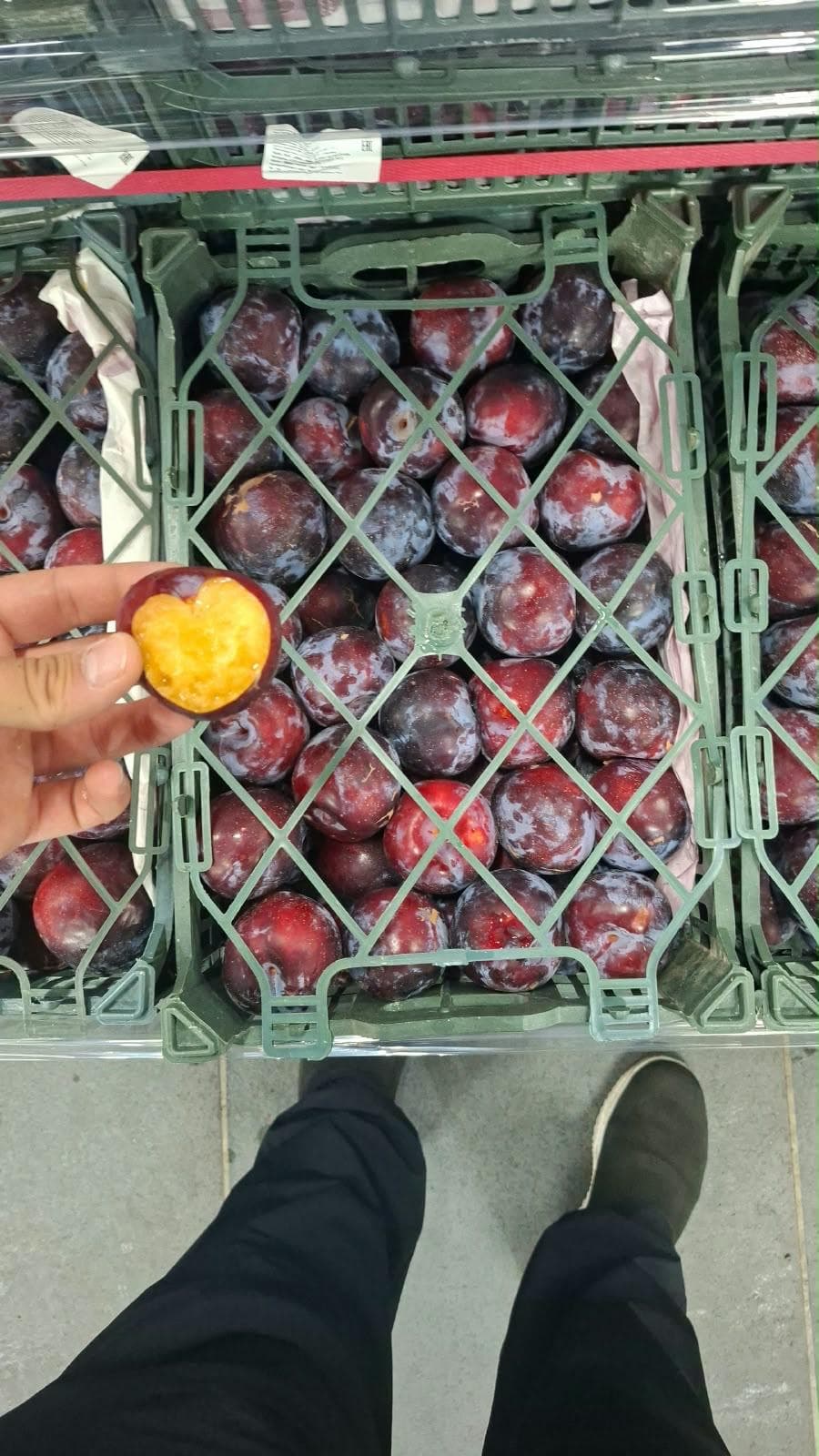 Gavalı Qırmızı 1