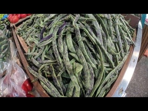 Lobya Yaşıl 1