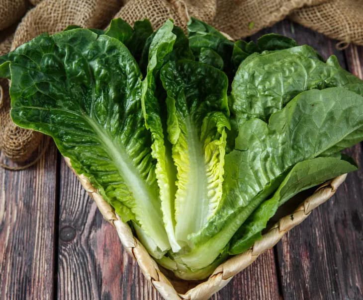 Kahı mini Baby lettuce 1
