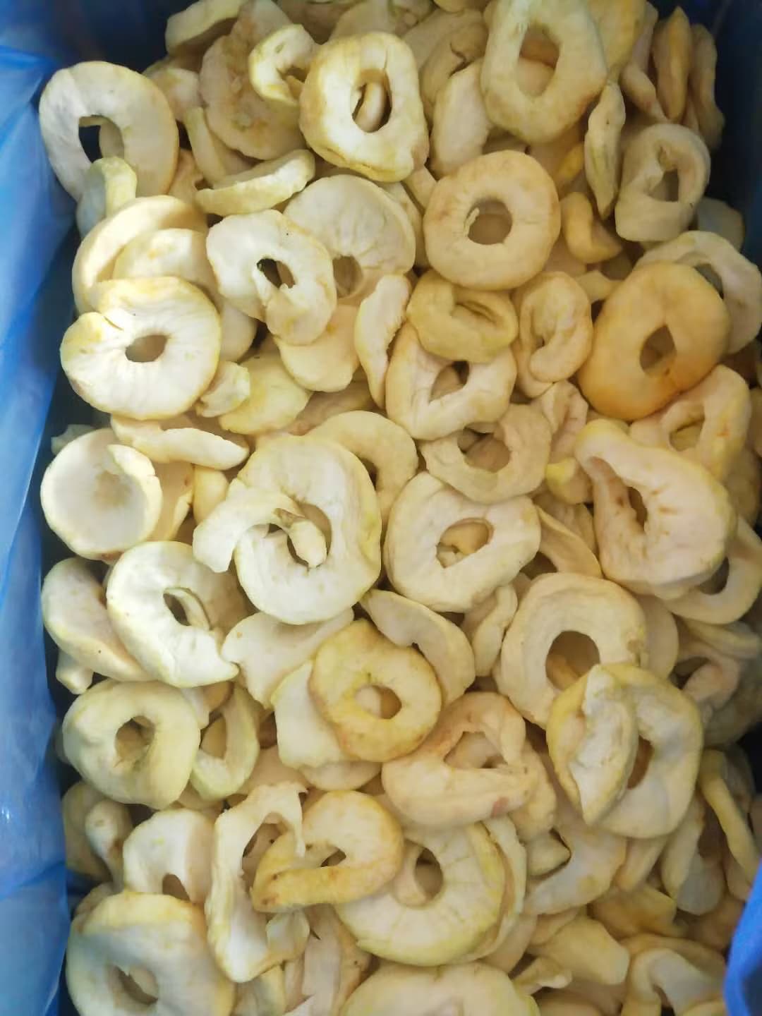 Alma qurusu 1
