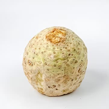 Kərəviz kökü 1