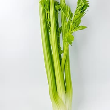 Kərəviz sapı 1