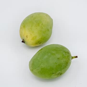 Mango Mini 1