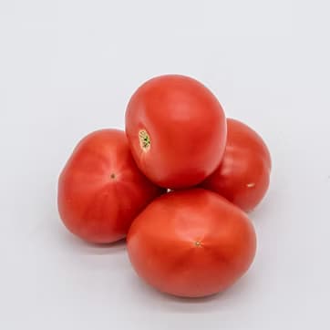 Pomidor Özbək 1