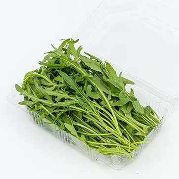 Rukola 1