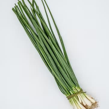 Soğan yaşıl 1