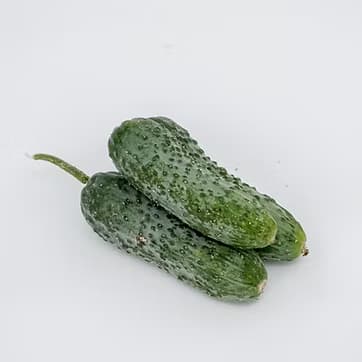 Xiyar Tikanlı 1