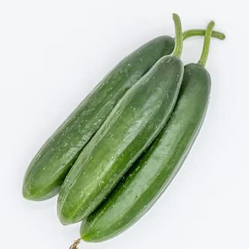 Xiyar Yerpənək 1