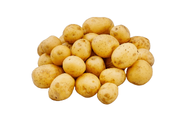 Yuyulmuş "Bəbi" kartofu 1