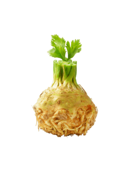 Rusiya kartofu 1