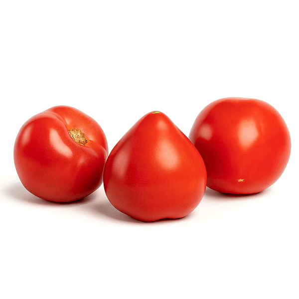 "Moxito" pomidoru 1