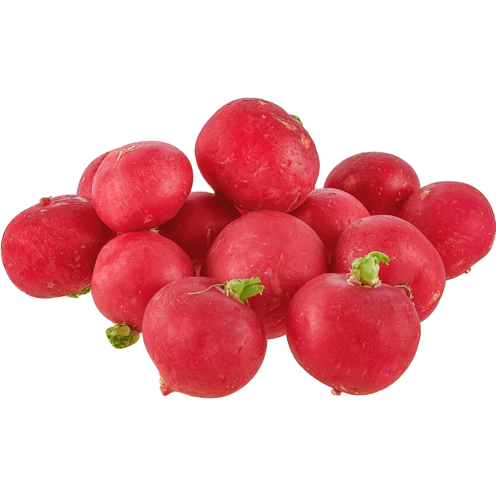 Turp 1