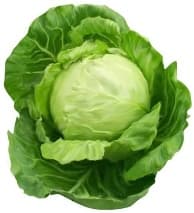 Ağ kələm 1