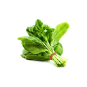 Cəfəri 2