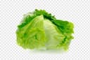 Salat Aysberq 1