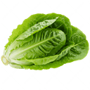 Salat Aysberq 2